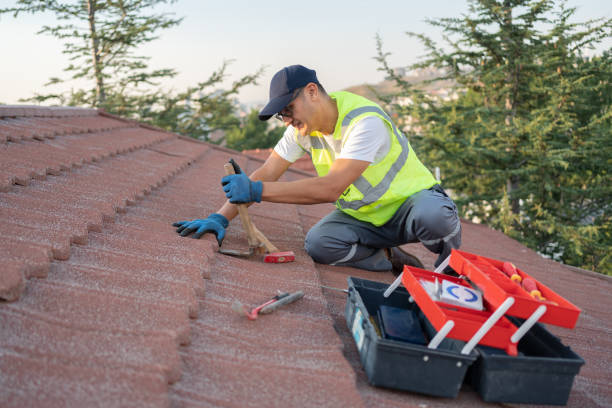 Best Metal Roofing Contractor  in Monticello, IA