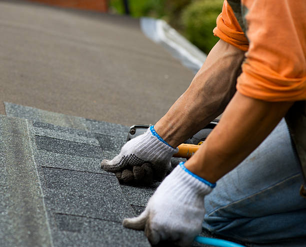 Best Roof Maintenance Services  in Monticello, IA