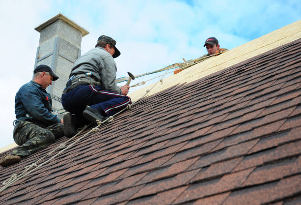 Best Storm Damage Roof Repair  in Monticello, IA